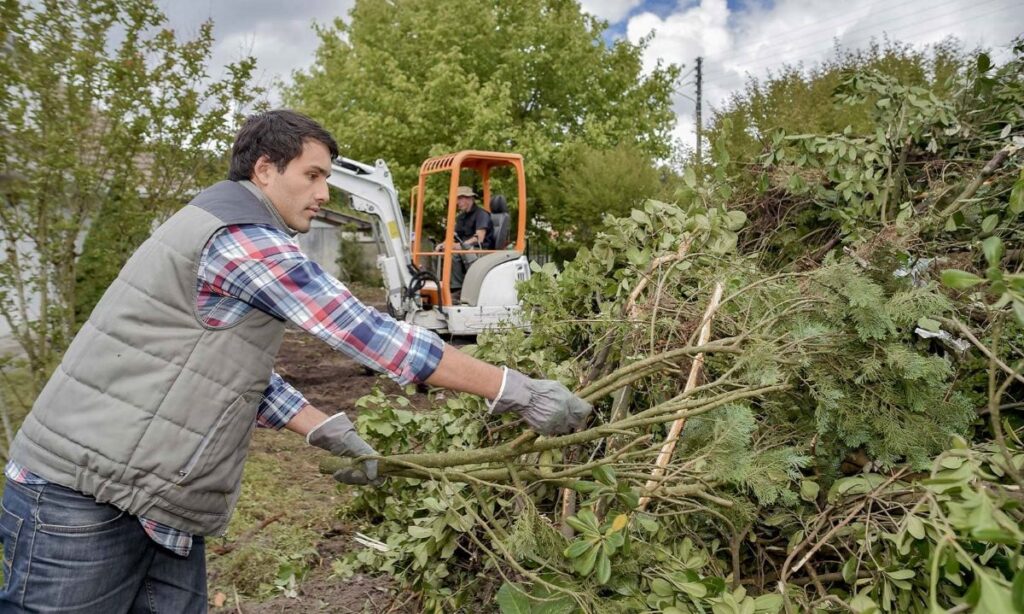 Tree Pruning Services